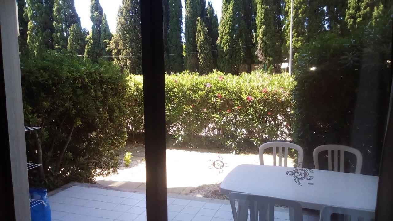 Apartment De 27 M² + 70 M² De Jardin A 100 M Des Plages